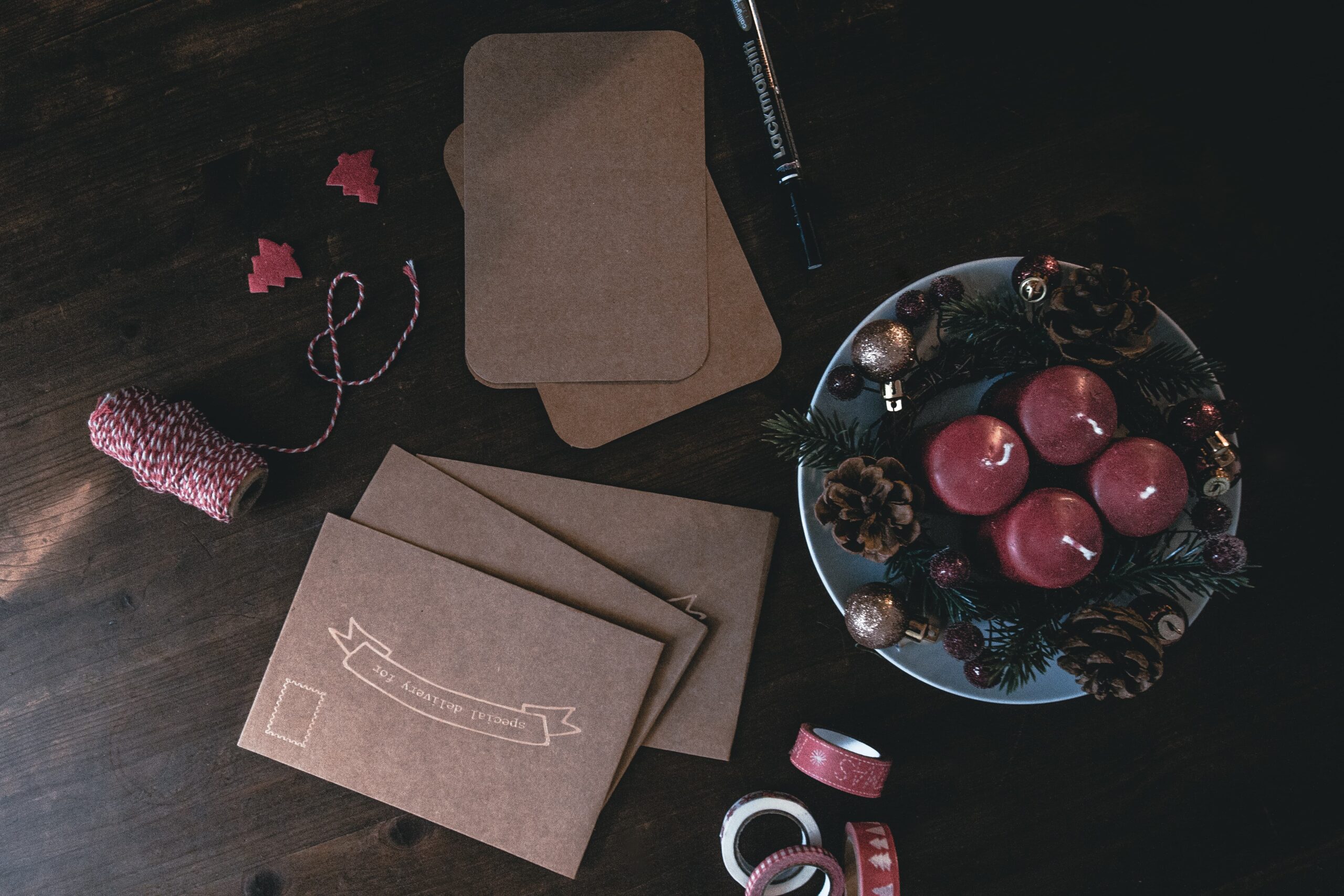 Foto: Kira auf der Heide