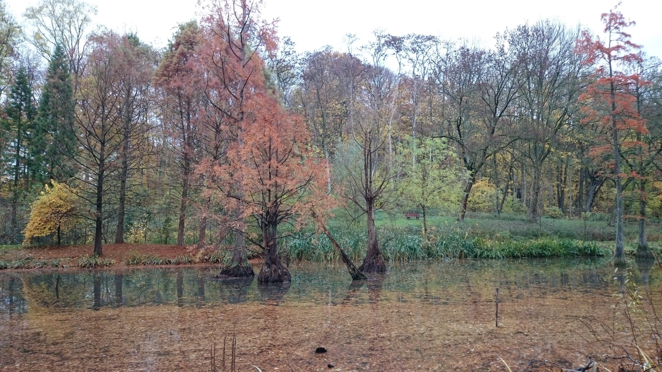 Rombergpark Dortmund