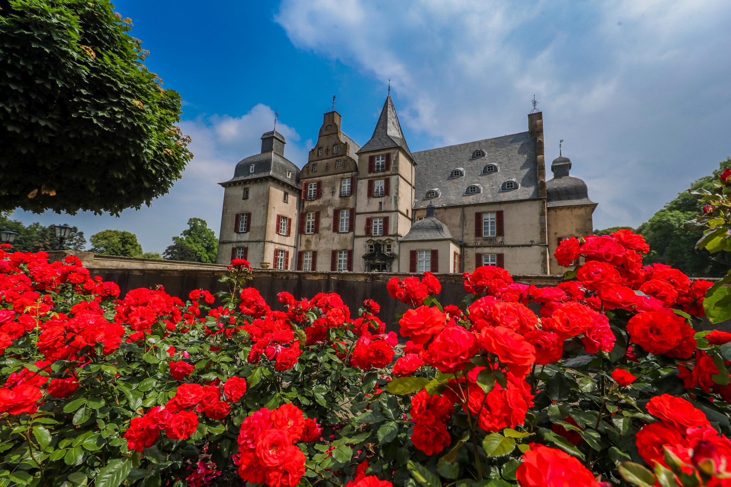 Schloss Bodelschwingh. Foto: Stephan Schütze