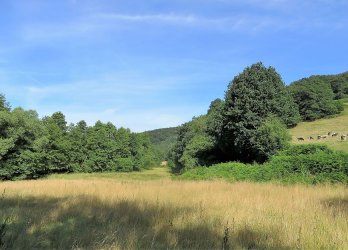 Elfringhauser Schweiz