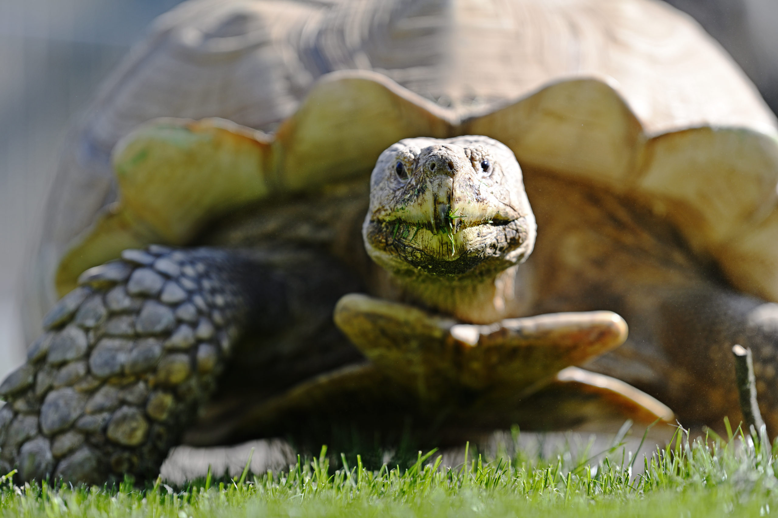 Fotos: ZOOM Erlebniswelt Gelsenkirchen