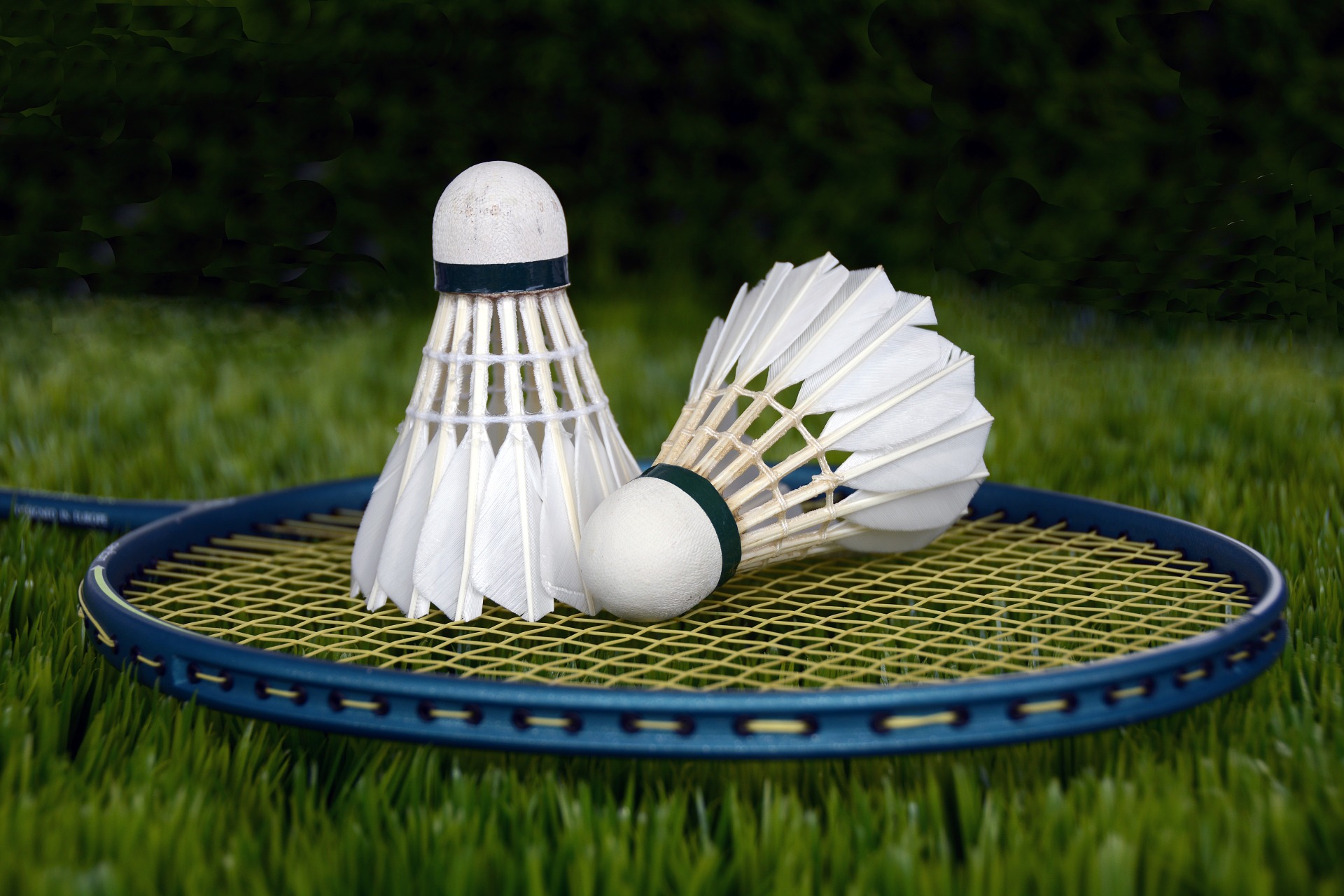 badminton-Outdoor-Spiel