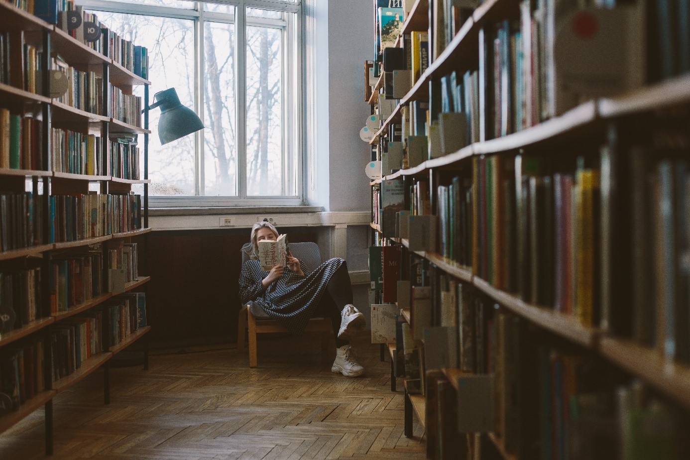 Lesende Person in Bibliothek