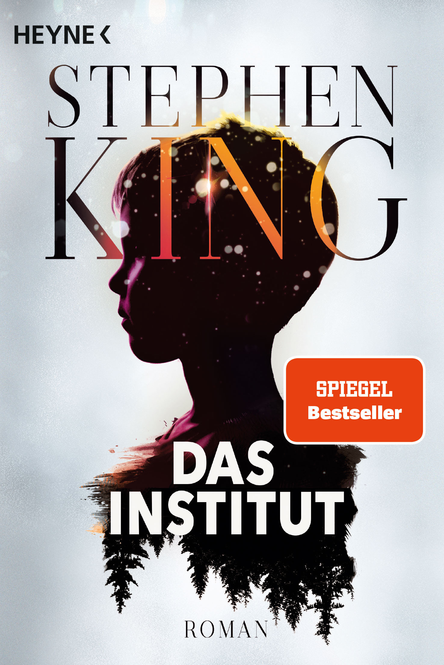 Cover zum Buch Das Institut passend zur Serie Stranger Things
