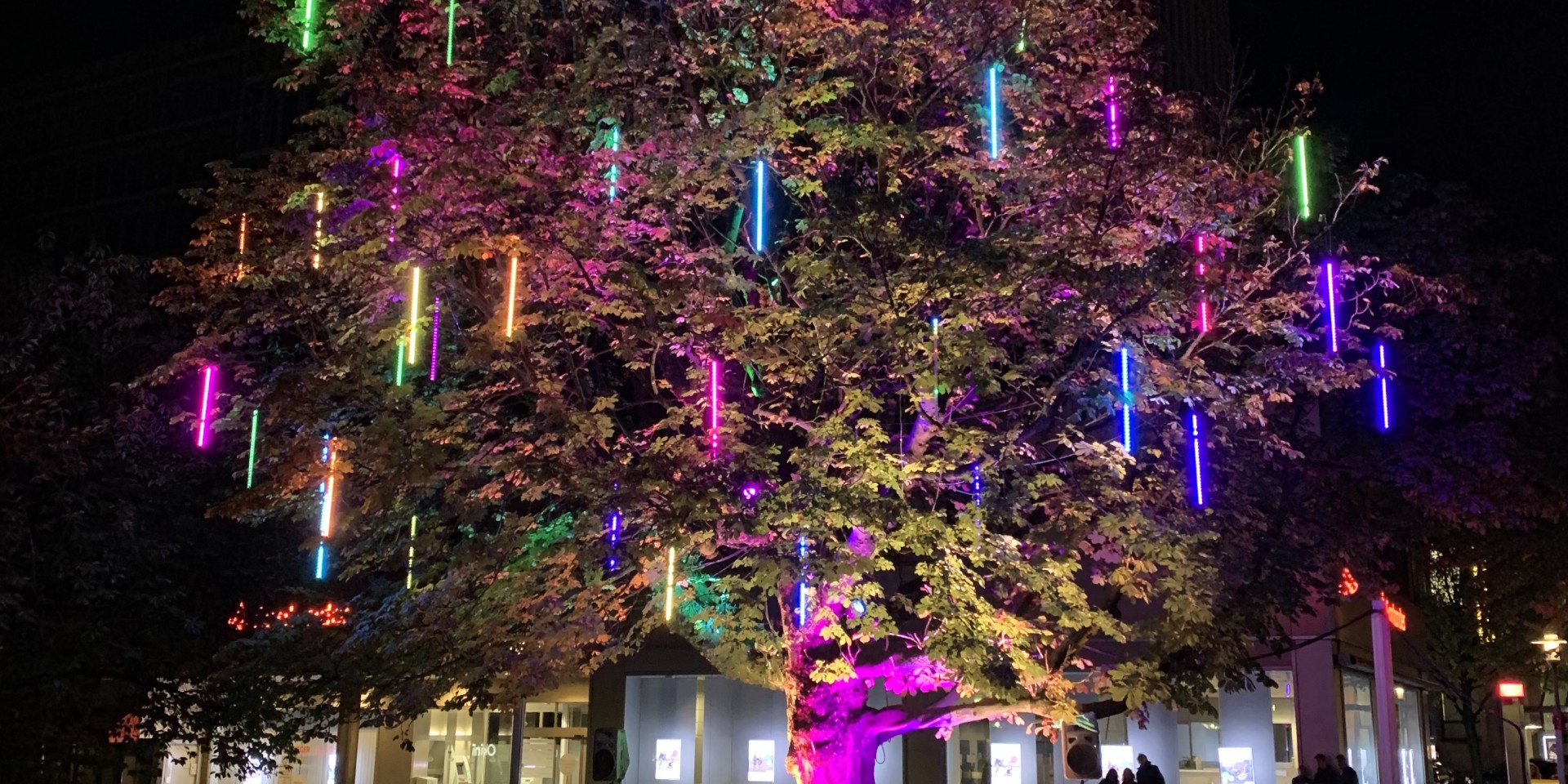 Lichtinstallation BAUM DER WÜNSCHE