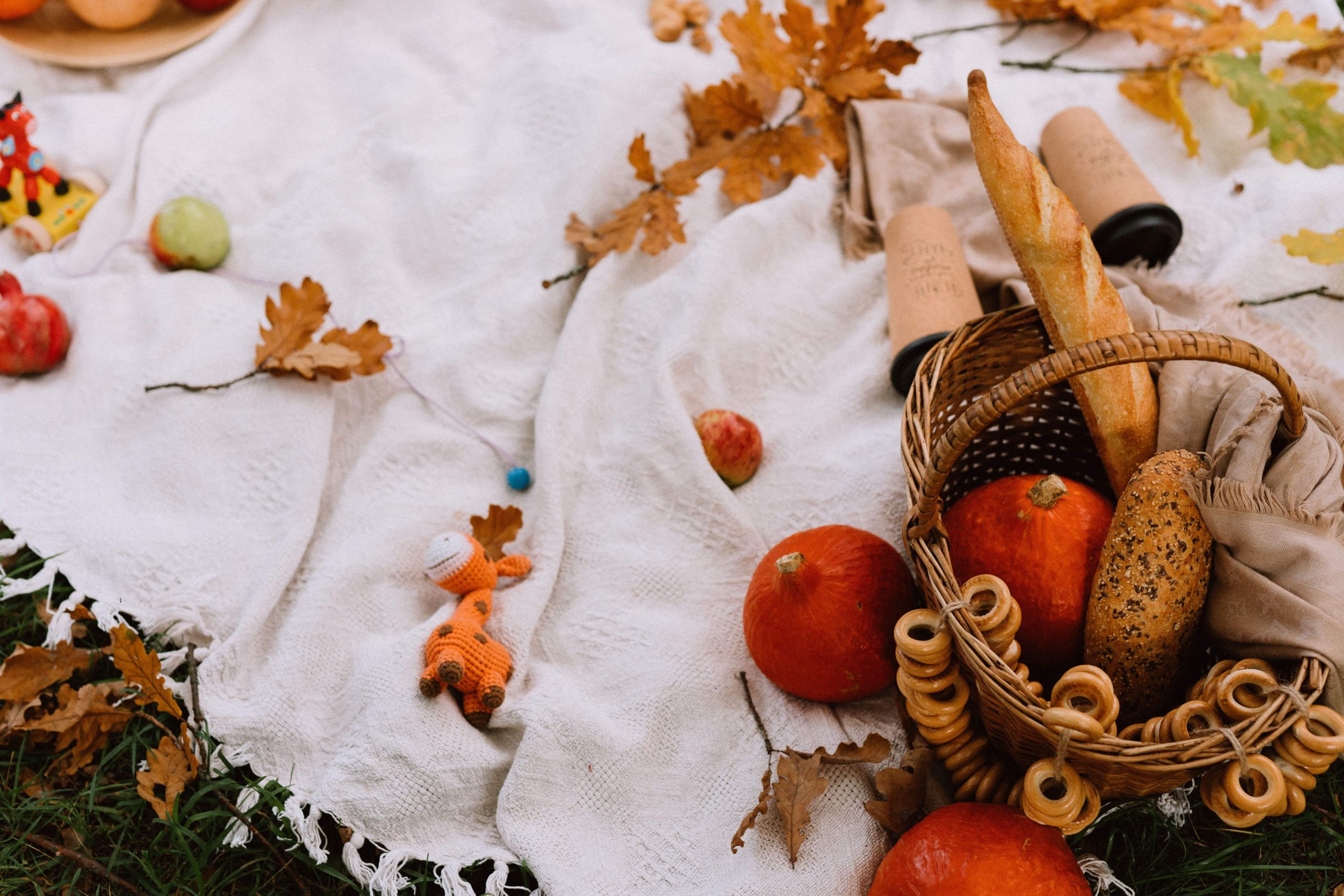 eine picknick decke mit unterschiedlichem essen und herbstfrüchten 