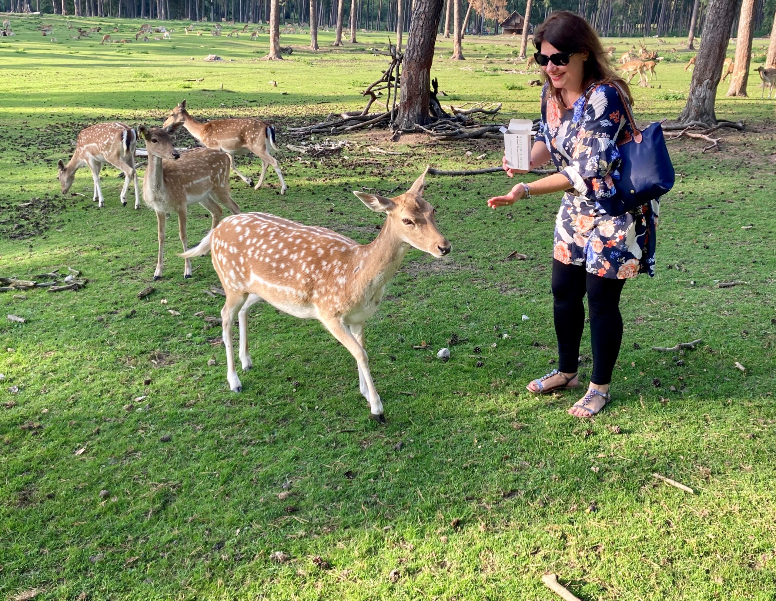 bianca mit einem bambi im wildpark granat
