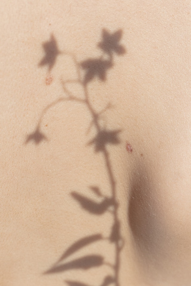 FKK Kultur: Auf einem Bauchnabel zeichnet sich der Schatten einer Pflanze ab