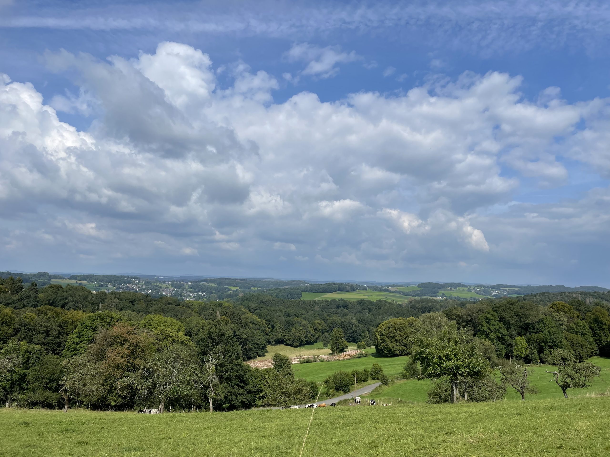 De Natur genießen .- in Nümbrecht geht das im Übermaß. Das Schonklima gibt es noch obendrauf.