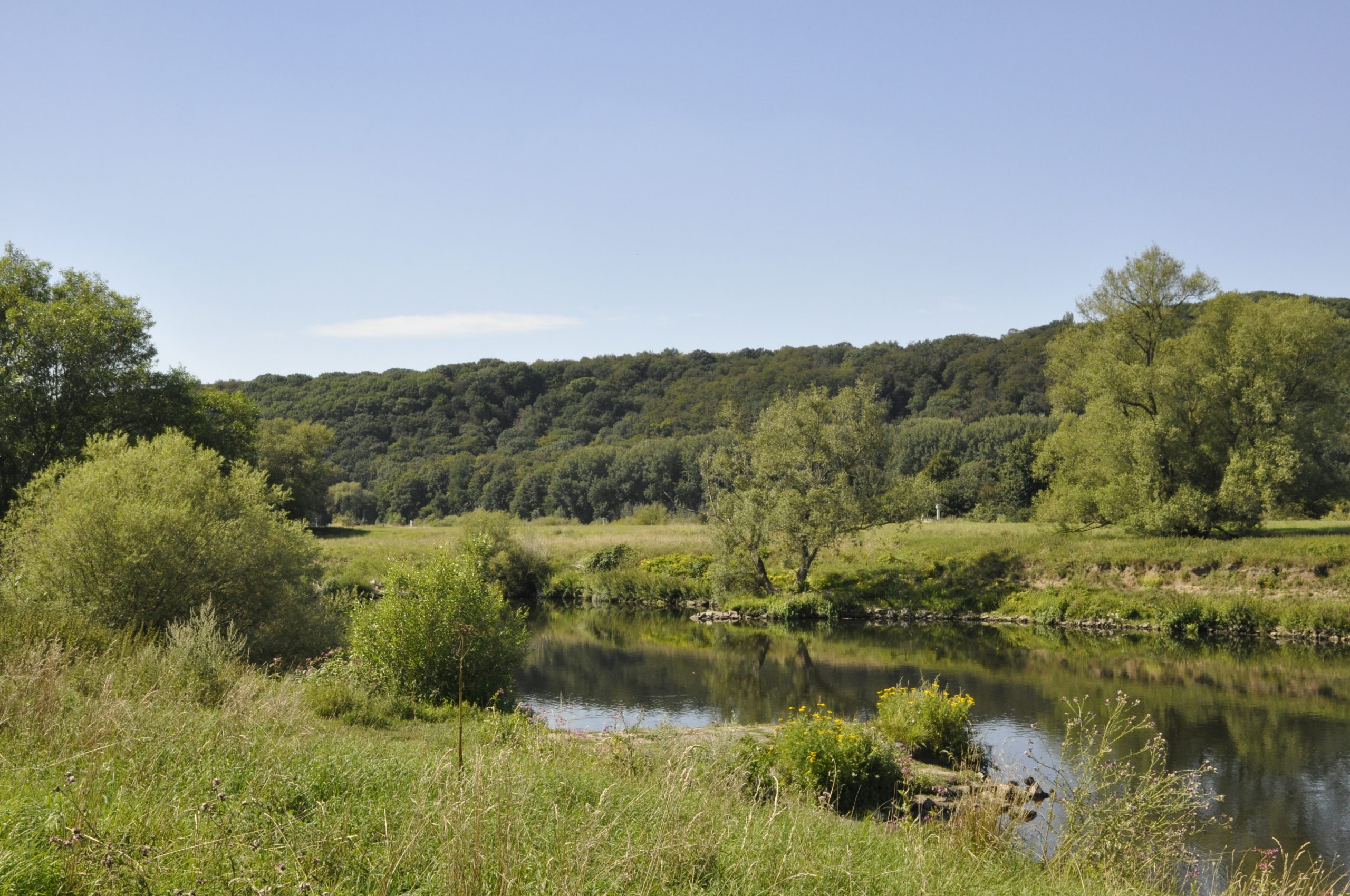 ein teil des naturschutzgebietes alte ruhr katzenstein