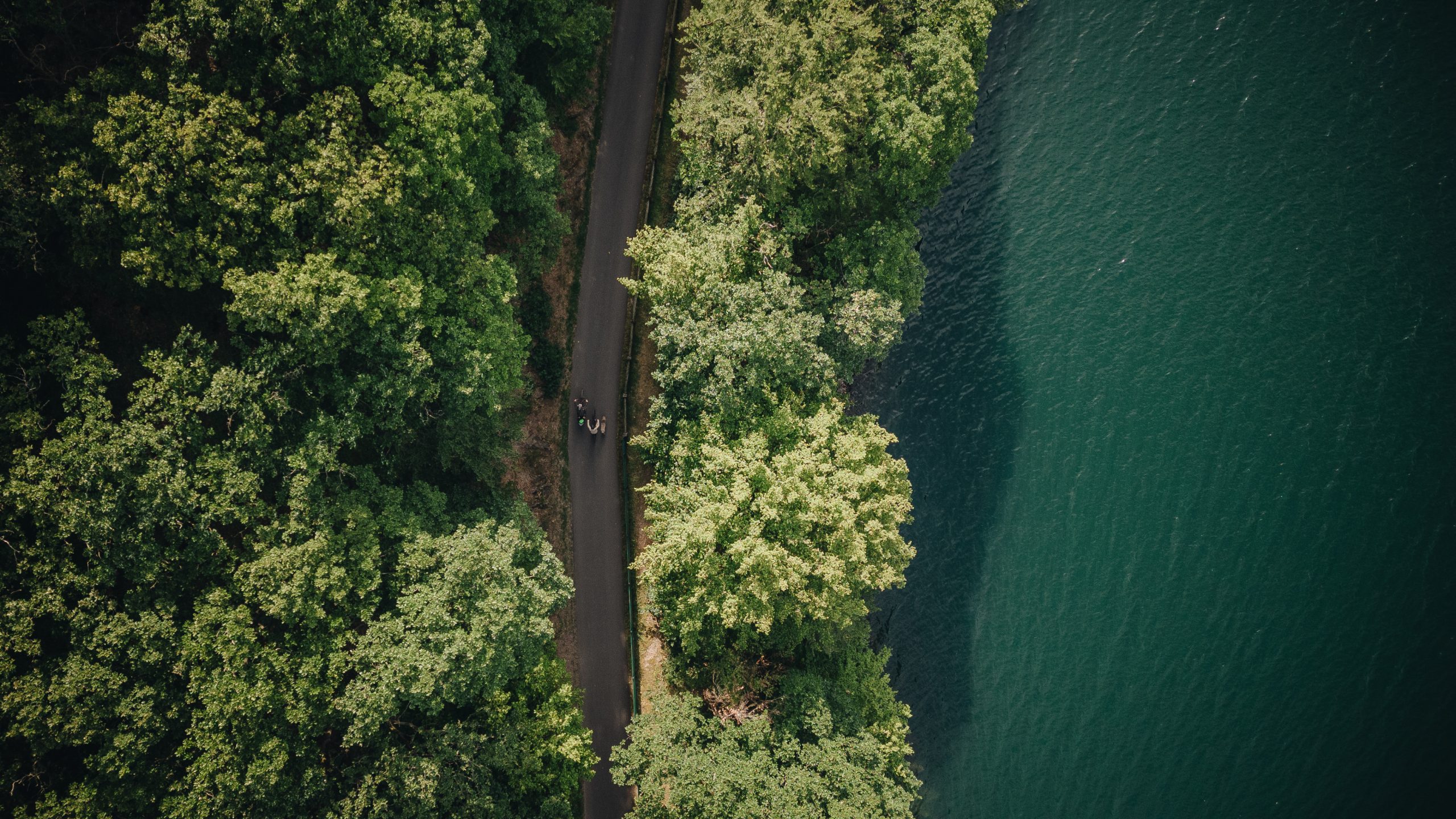 fahrradfahrer von oben auf einem weg durch wälder in olpe