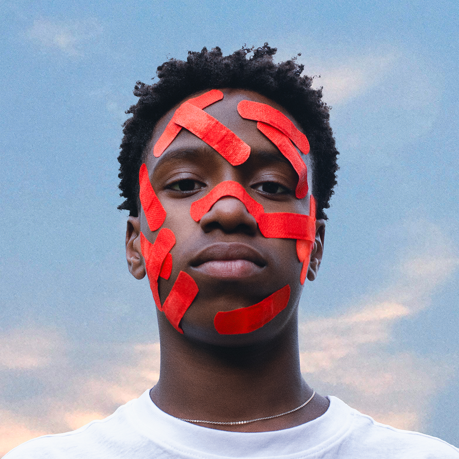 cover zum album von blumengarten