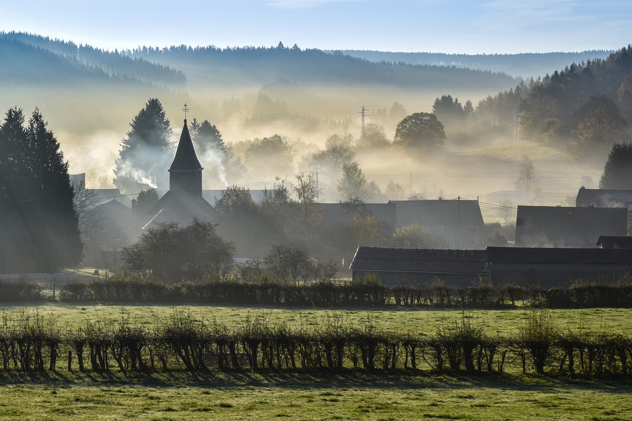 Ardennenlandschaft im Nebel bei Sonnenaufgang