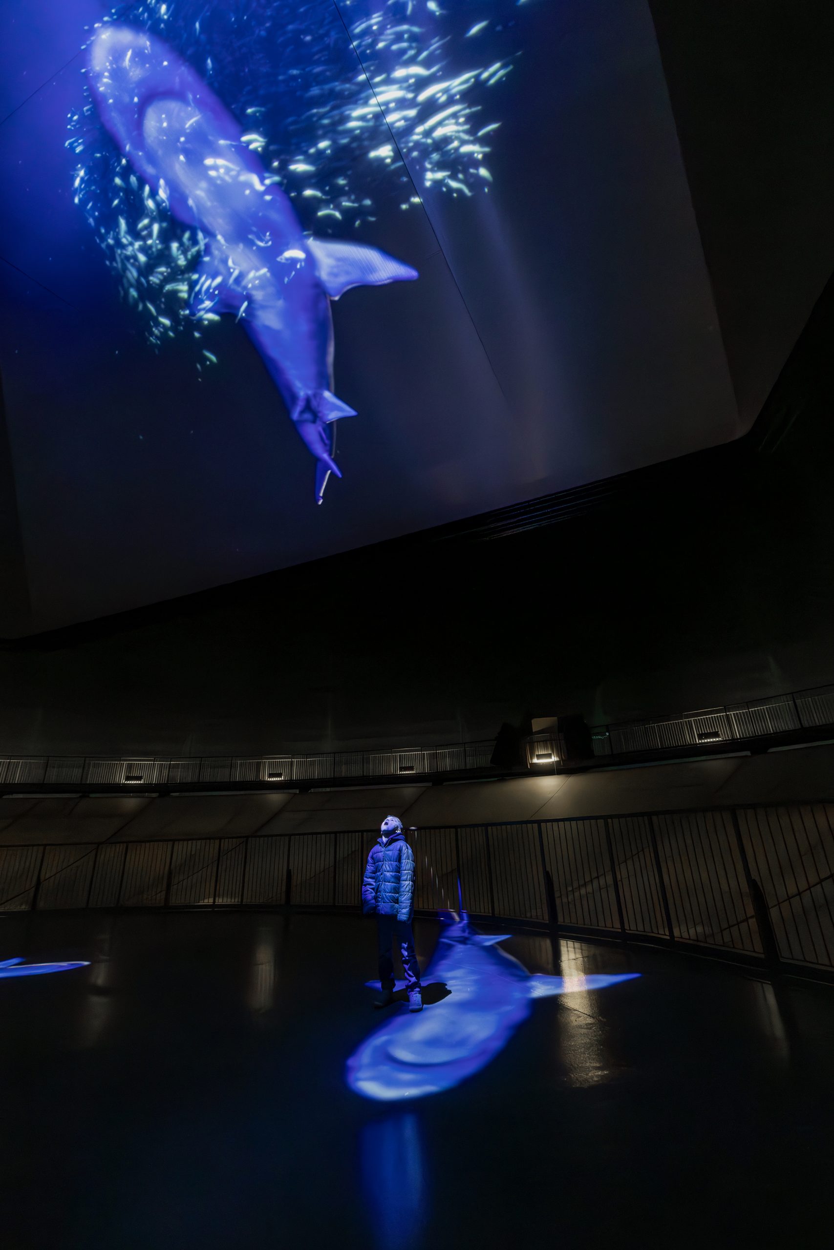 Animierter Haii in der "Welle" im Gasometer Oberhausen.