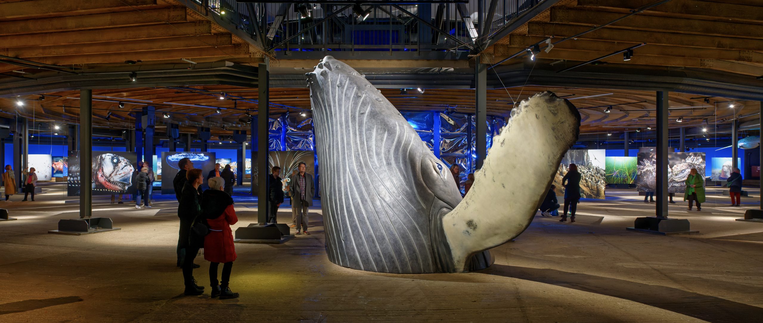 Modell eines Buckewal-Kopfes in der Ausstellung "Planet Ozean" im Gasometer Oberhausen.