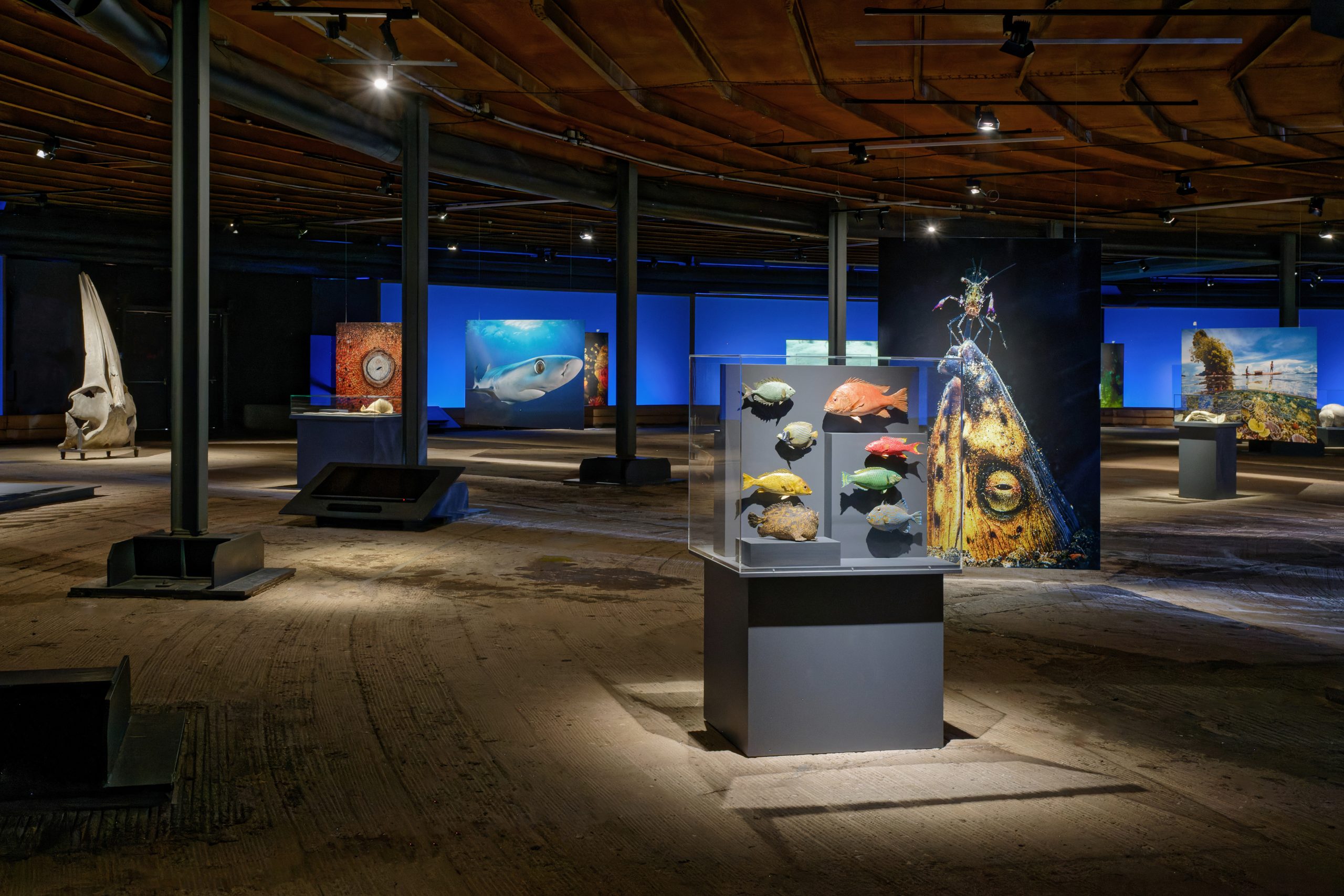 Blick in die Ausstellungshalle im Gasometer Oberhausen