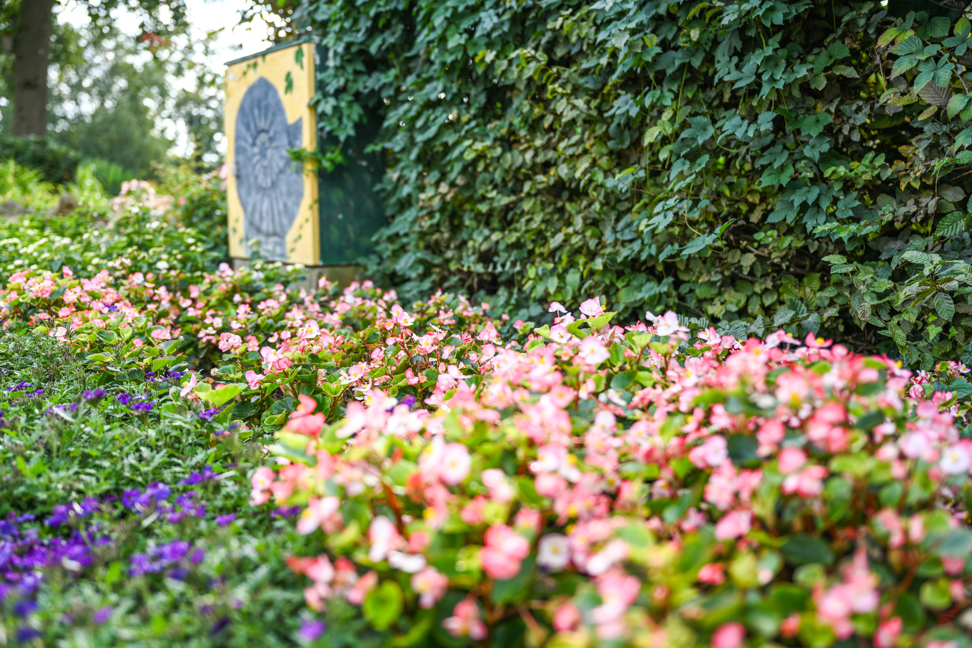 Mit jahreszeitlichen Bepflanzungen erhält jede einzelne Königin der Blumen ihre verdiente Aufmerksamkeit im Rosengarten in Lüdinghausen-Seppenrade.