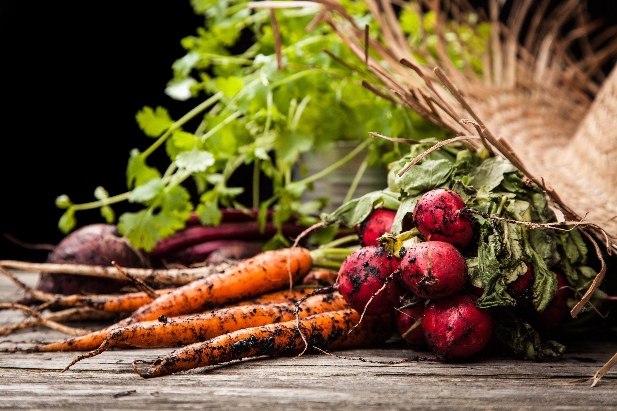 Möhren und Radieschen