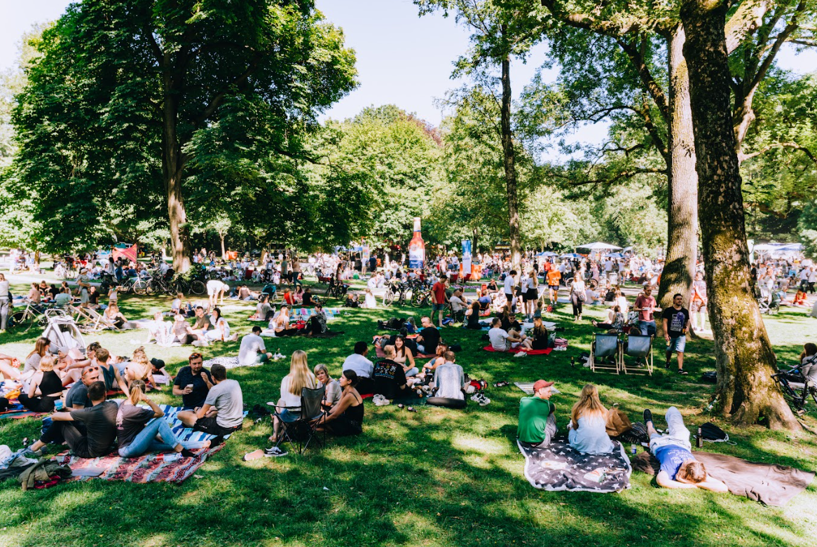 Besucher der DJ Picknicks auf dem Rasen eines Parks