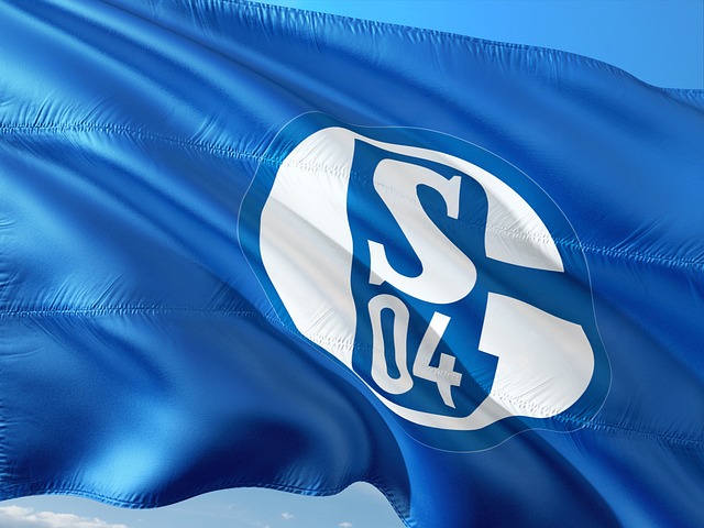 Fahne mit dem Wappen von Schalke 04