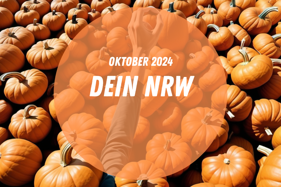 kürbisse während eines herbstevents