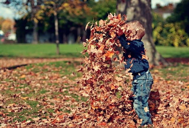 Kind spielt im Herbstlaub