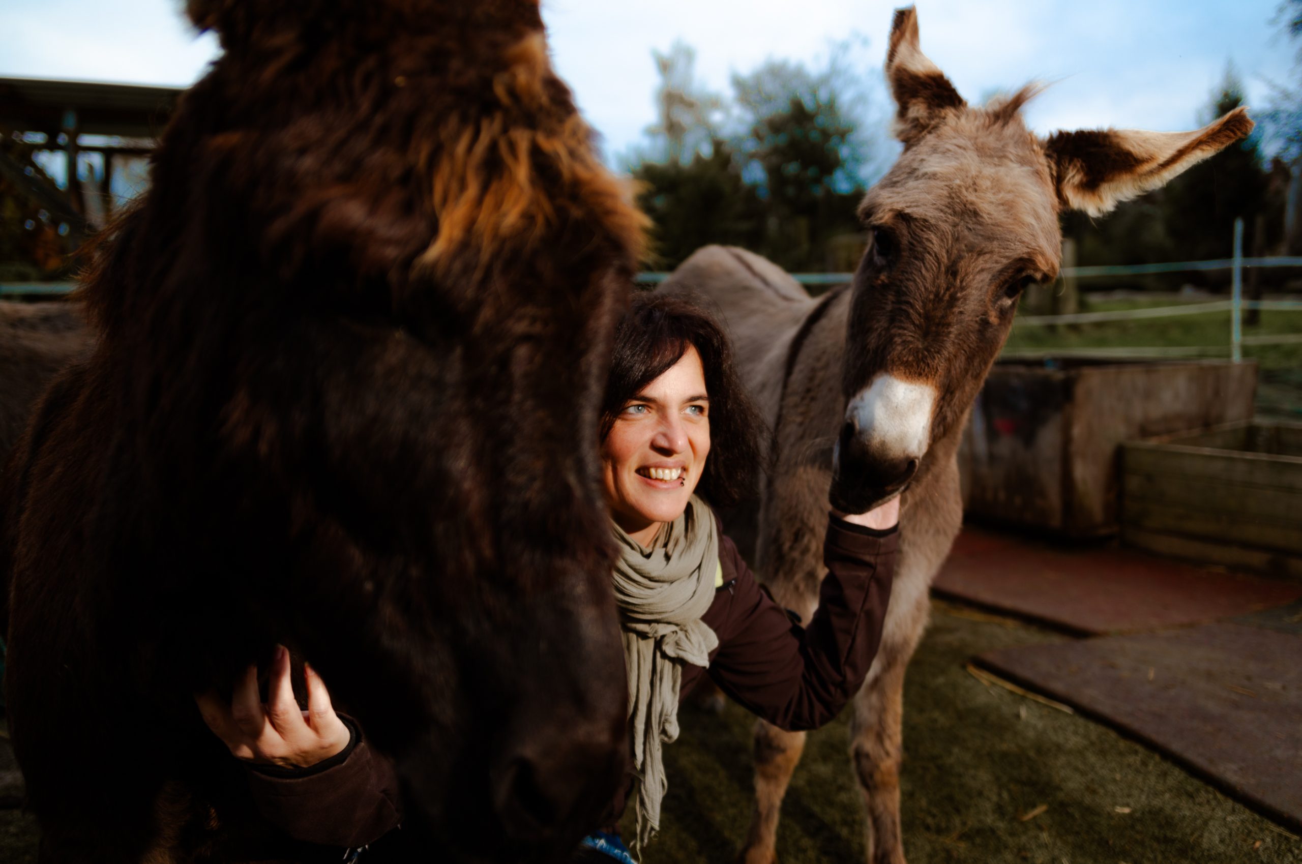 nadine zwischen zwei eseln auf ihrer farm